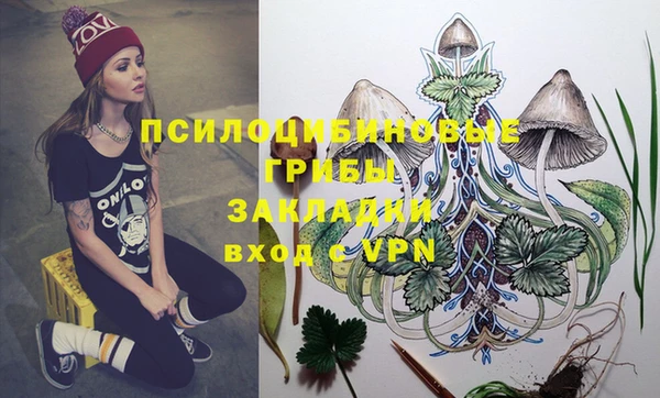 экстази Богородск